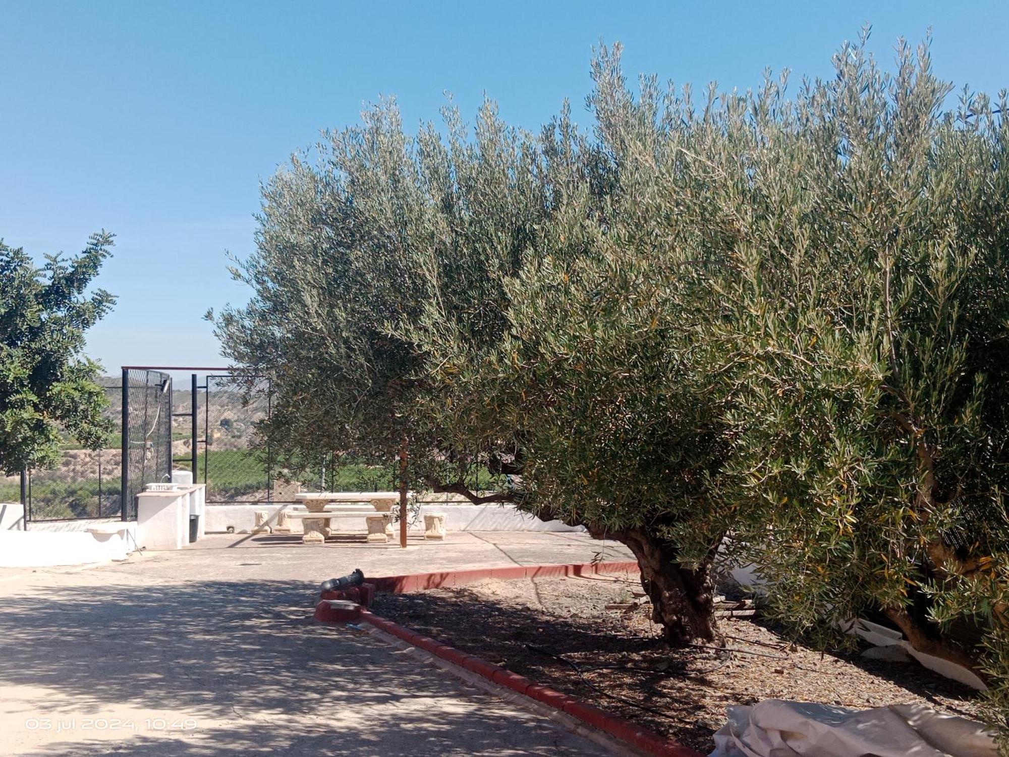 Casa Las Moscas Murcia Kültér fotó